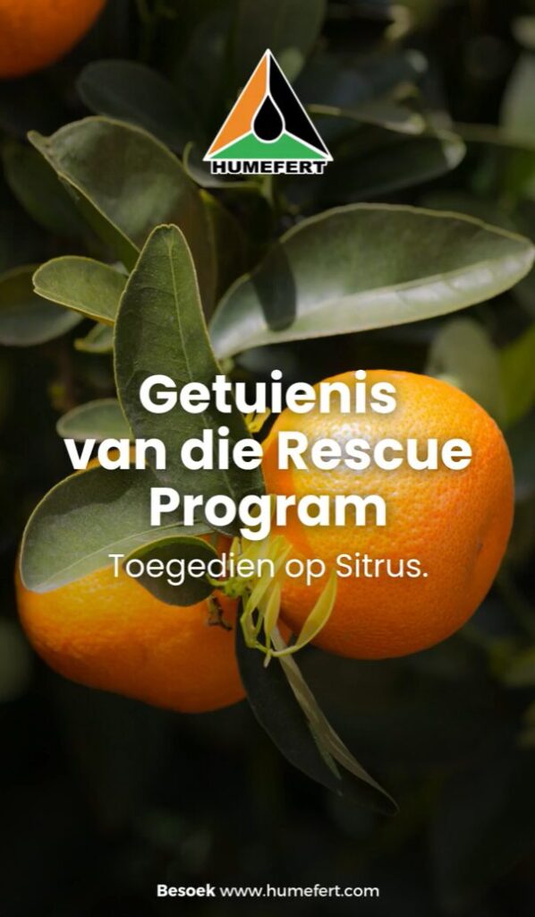 Rescue Program Citrus Testimonial