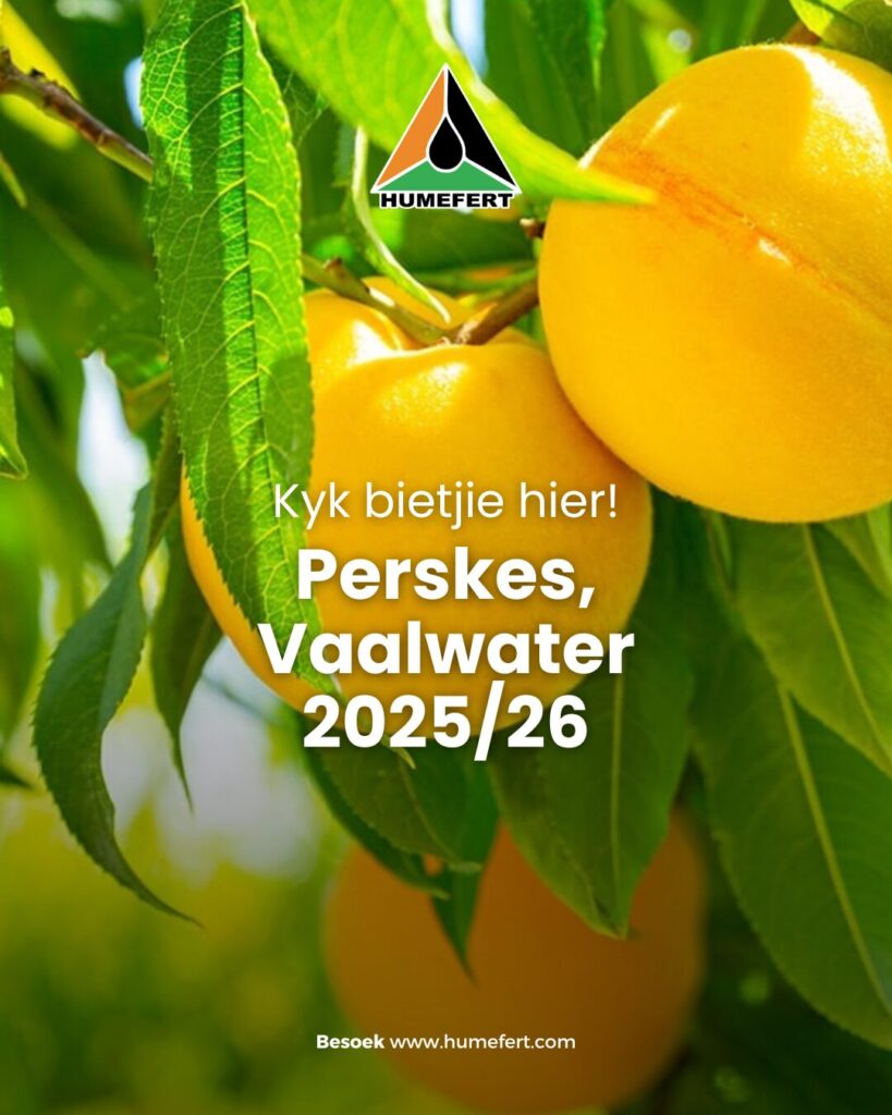 Humefert Peaches Results