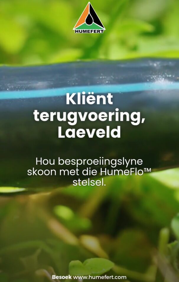 HumeFlo Klient Terugvoering, Laeveld