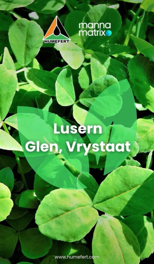 Lucerne, Free State (Manna Matrix)