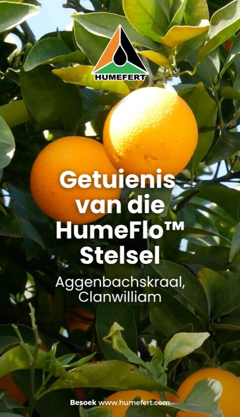 HumeFlo Testimonial -Aggenbachskraal, Clanwilliam